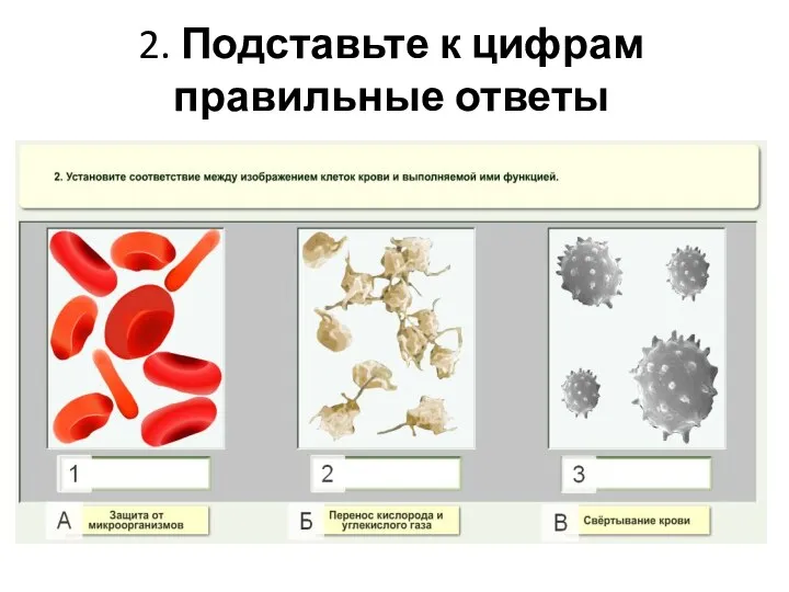 2. Подставьте к цифрам правильные ответы