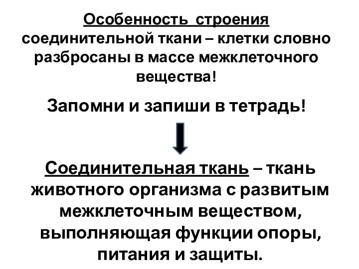 Запомни и запиши в тетрадь! Особенность строения соединительной ткани – клетки словно