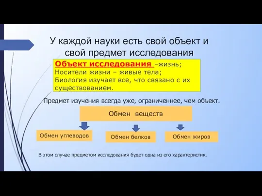 У каждой науки есть свой объект и свой предмет исследования Объект исследования