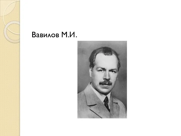 Вавилов М.И.