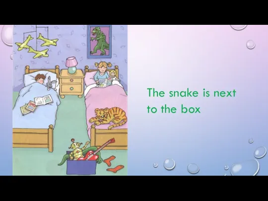 The snake is next to the box