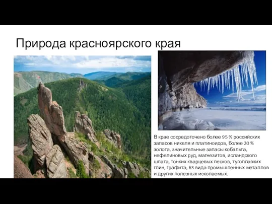 Природа красноярского края В крае сосредоточено более 95 % российских запасов никеля