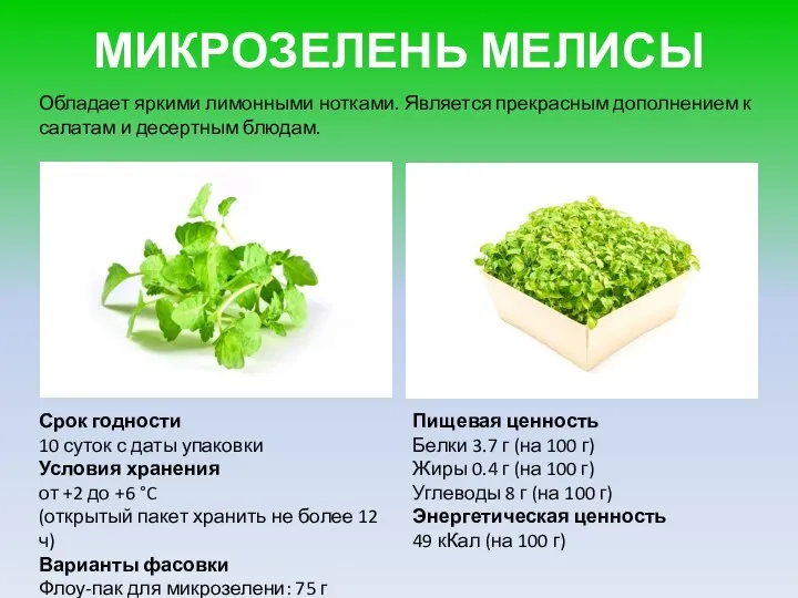 МИКРОЗЕЛЕНЬ МЕЛИСЫ Обладает яркими лимонными нотками. Является прекрасным дополнением к салатам и