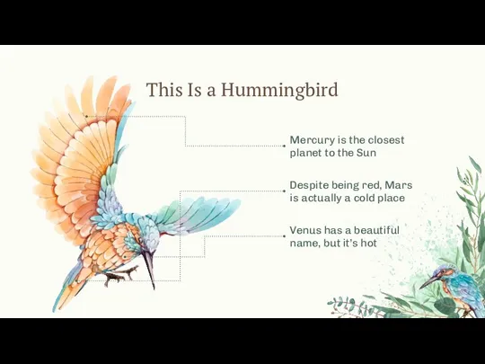 This Is a Hummingbird Mercury is the closest planet to the Sun