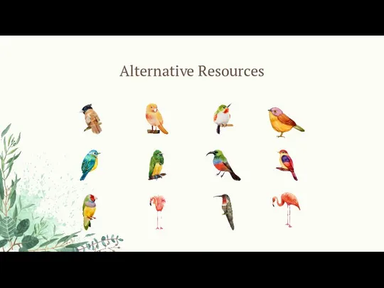 Alternative Resources