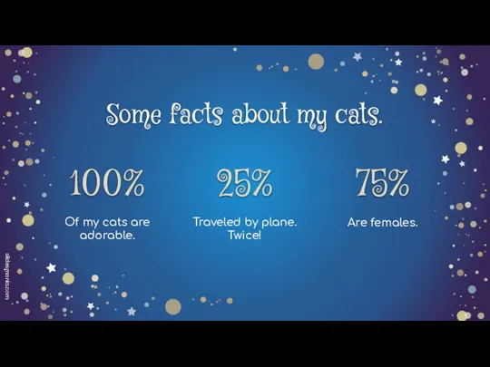 Some facts about my cats. Traveled by plane. Twice! Of my cats