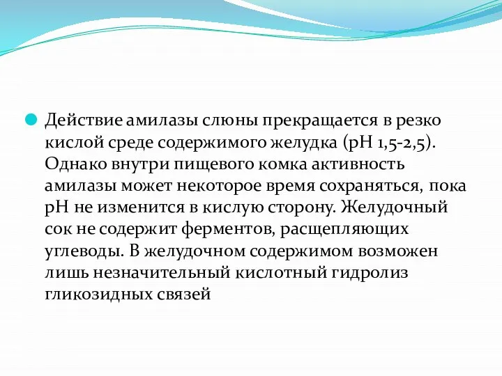 Действие амилазы слюны прекращается в резко кислой среде содержимого желудка (рН 1,5-2,5).