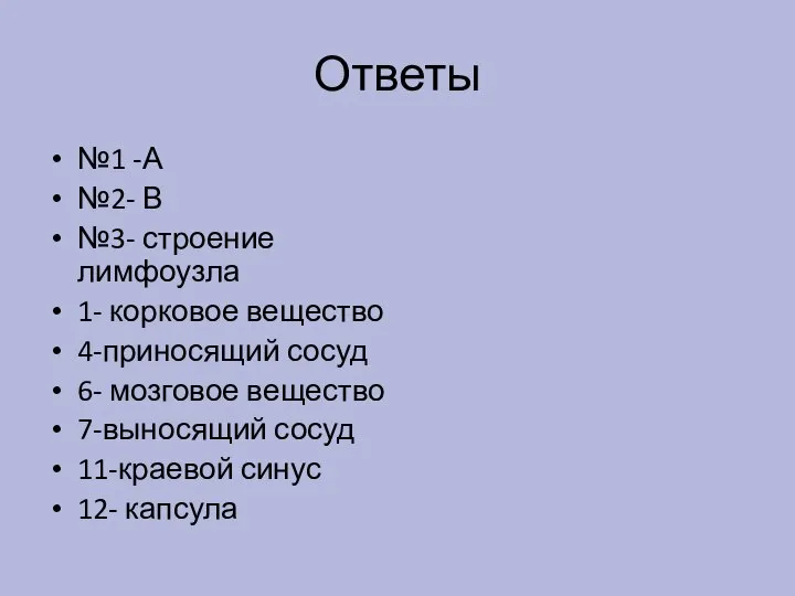 Ответы №1 -А №2- В №3- строение лимфоузла 1- корковое вещество 4-приносящий