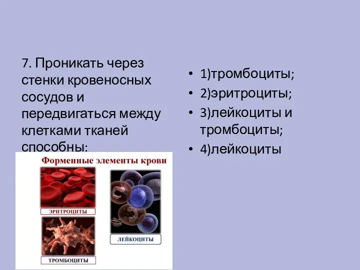 7. Проникать через стенки кровеносных сосудов и передвигаться между клетками тканей способны: