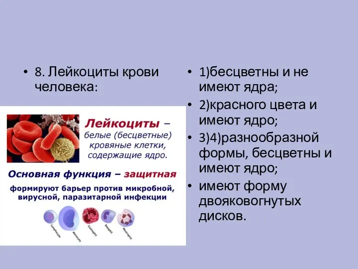 8. Лейкоциты крови человека: 1)бесцветны и не имеют ядра; 2)красного цвета и