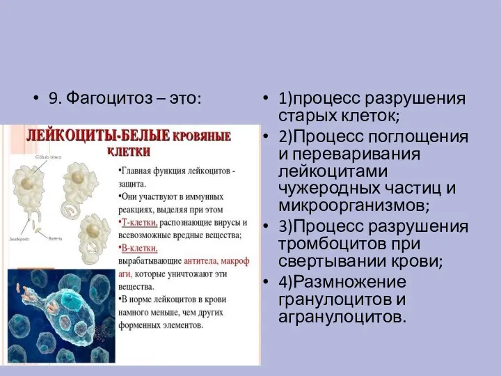 9. Фагоцитоз – это: 1)процесс разрушения старых клеток; 2)Процесс поглощения и переваривания