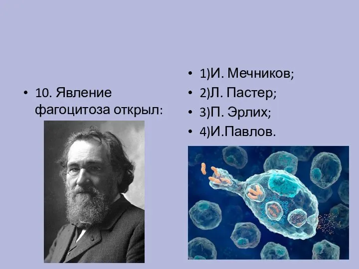 10. Явление фагоцитоза открыл: 1)И. Мечников; 2)Л. Пастер; 3)П. Эрлих; 4)И.Павлов.