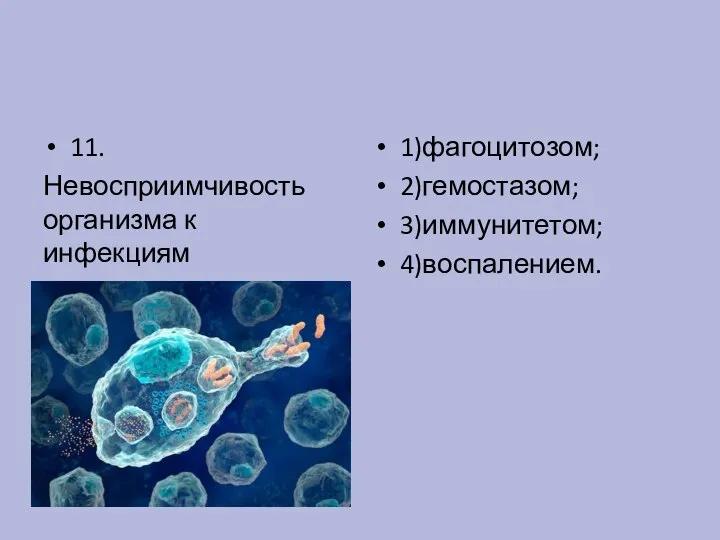 11. Невосприимчивость организма к инфекциям называется: 1)фагоцитозом; 2)гемостазом; 3)иммунитетом; 4)воспалением.