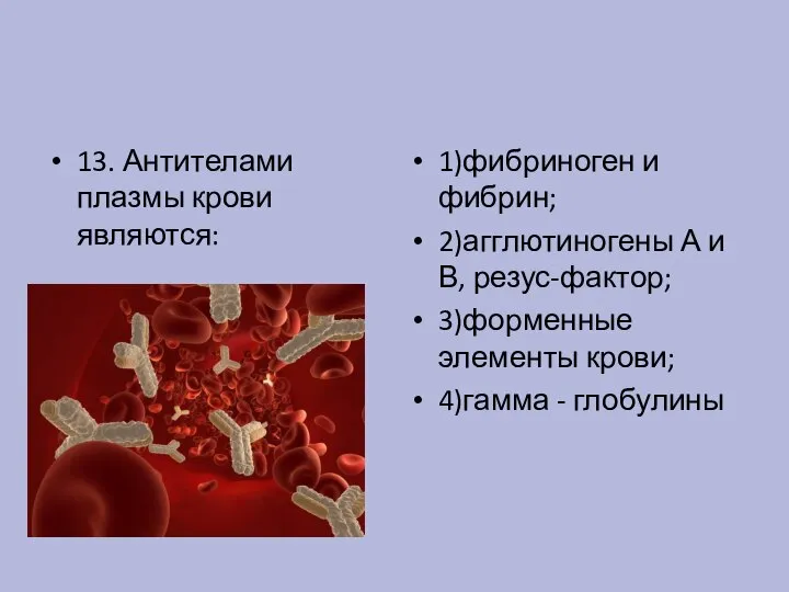 13. Антителами плазмы крови являются: 1)фибриноген и фибрин; 2)агглютиногены А и В,