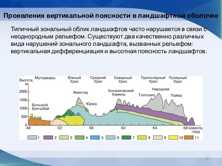 Проявления вертикальной поясности в ландшафтной оболочке Типичный зональный облик ландшафтов часто нарушается