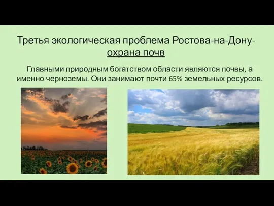 Третья экологическая проблема Ростова-на-Дону-охрана почв Главными природным богатством области являются почвы, а