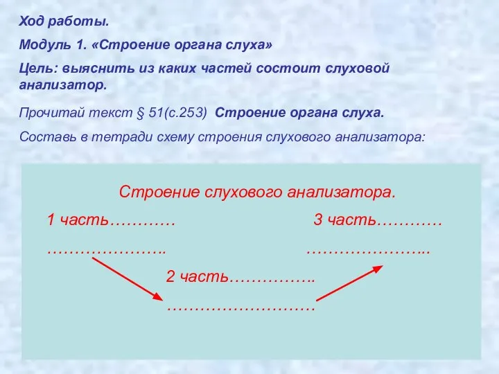 Ход работы. Модуль 1. «Строение органа слуха» Цель: выяснить из каких частей