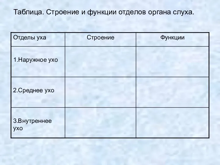 Таблица. Строение и функции отделов органа слуха.