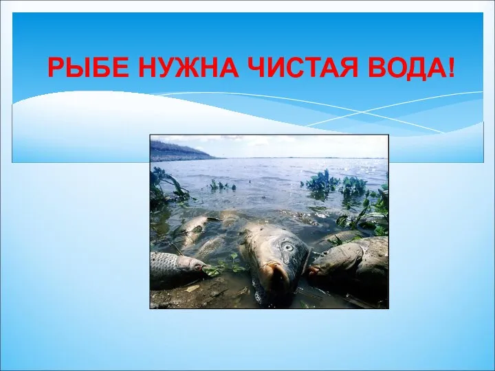 РЫБЕ НУЖНА ЧИСТАЯ ВОДА!