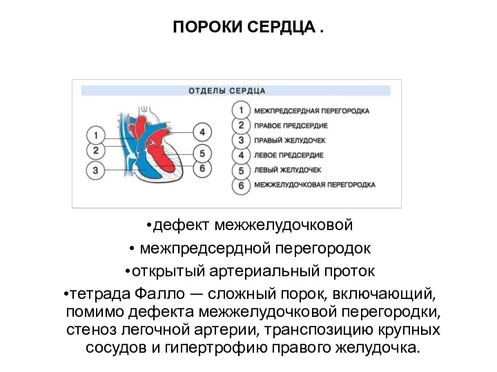 ПОРОКИ СЕРДЦА . дефект межжелудочковой межпредсердной перегородок открытый артериальный проток тетрада Фалло