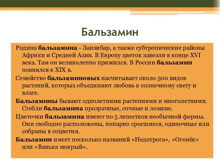 Бальзамин Родина бальзамина - Занзибар, а также субтропические районы Африки и Средней