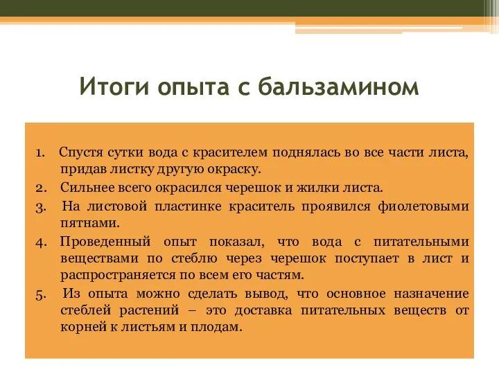 Итоги опыта с бальзамином 1. Спустя сутки вода с красителем поднялась во