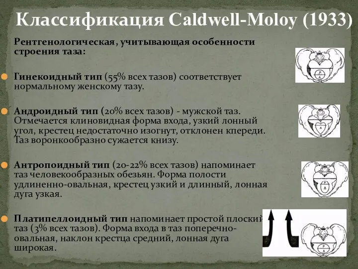 Классификация Caldwell-Moloy (1933) Рентгенологическая, учитывающая особенности строения таза: Гинекоидный тип (55% всех