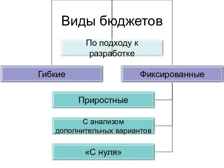 Виды бюджетов