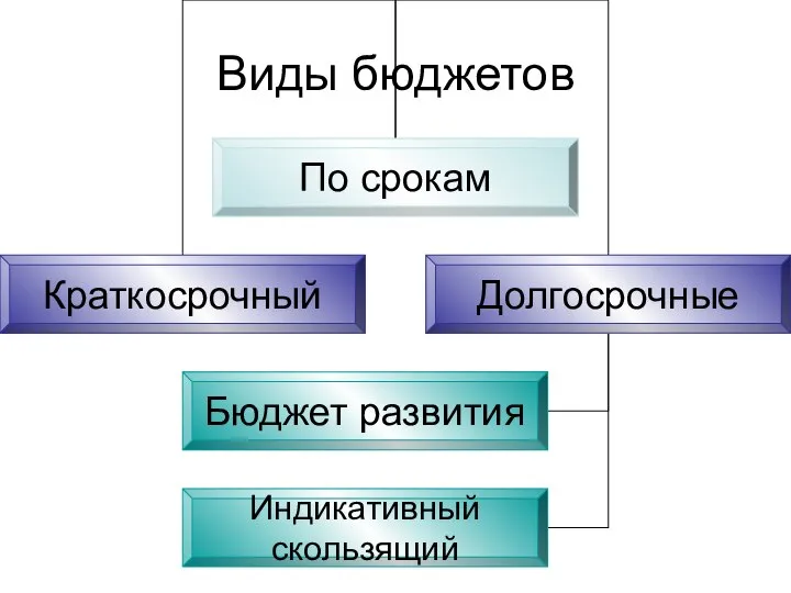 Виды бюджетов