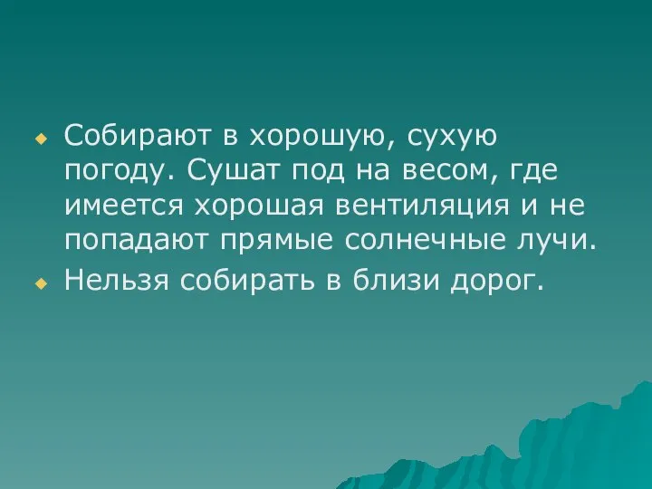 Собирают в хорошую, сухую погоду. Сушат под на весом, где имеется хорошая