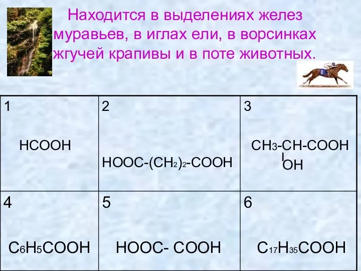 Находится в выделениях желез муравьев, в иглах ели, в ворсинках жгучей крапивы и в поте животных.