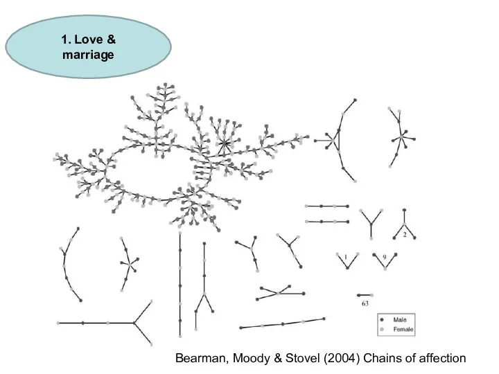 1. Love & marriage Bearman, Moody & Stovel (2004) Chains of affection