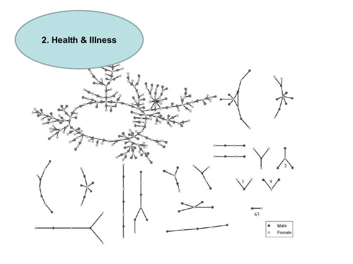 2. Health & Illness