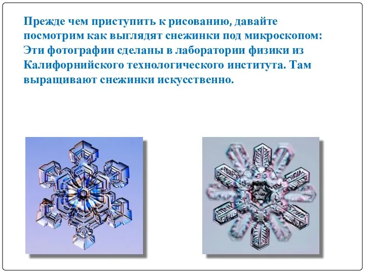 Прежде чем приступить к рисованию, давайте посмотрим как выглядят снежинки под микроскопом: