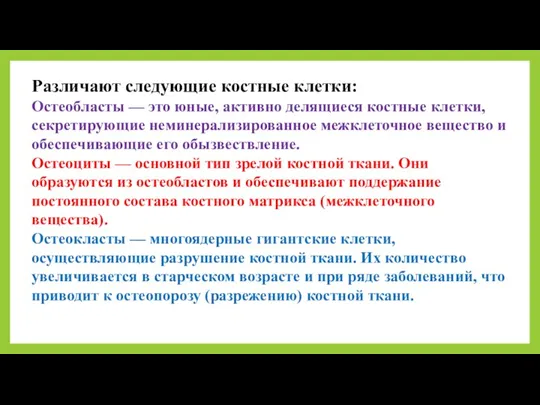 Различают следующие костные клетки: Остеобласты — это юные, активно делящиеся костные клетки,