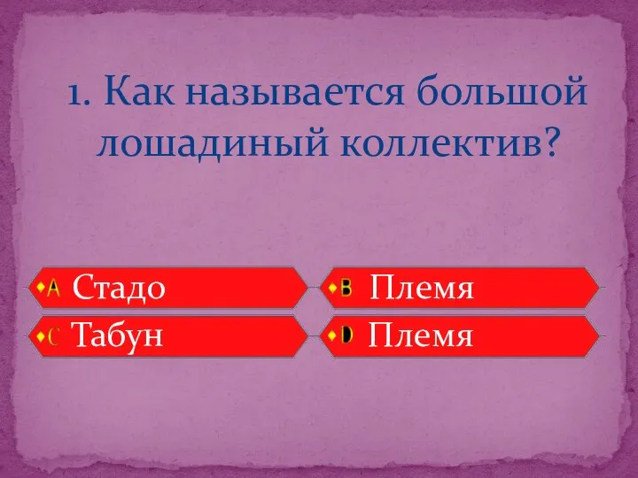 Стадо Племя Табун Племя 1. Как называется большой лошадиный коллектив?