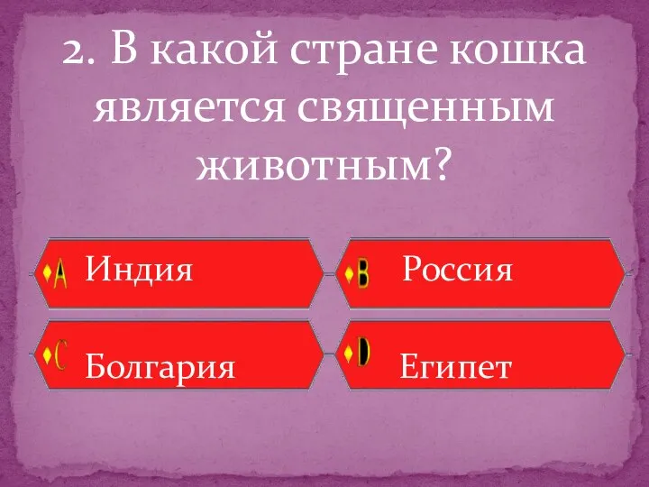 2. В какой стране кошка является священным животным? Индия Россия Болгария Египет