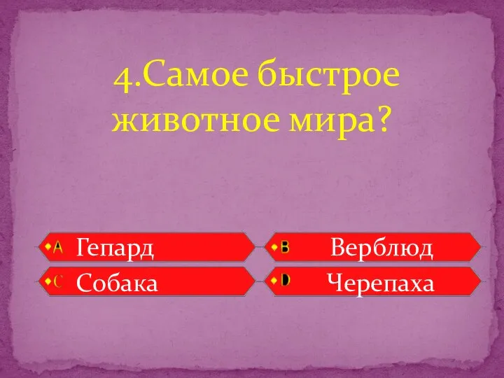 Гепард Верблюд Собака Черепаха 4.Самое быстрое животное мира?