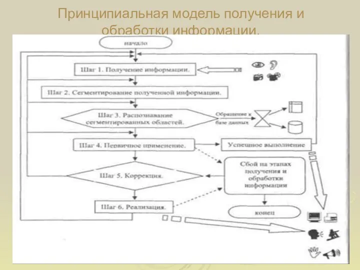 Принципиальная модель получения и обработки информации.