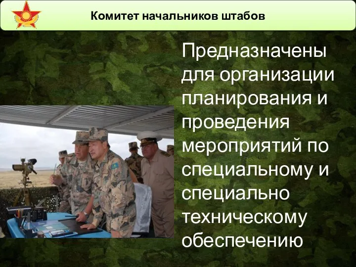 Комитет начальников штабов Предназначены для организации планирования и проведения мероприятий по специальному и специально техническому обеспечению