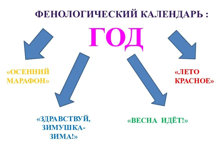 ФЕНОЛОГИЧЕСКИЙ КАЛЕНДАРЬ : ГОД «ОСЕННИЙ МАРАФОН» «ЗДРАВСТВУЙ, ЗИМУШКА-ЗИМА!» «ВЕСНА ИДЁТ!» «ЛЕТО КРАСНОЕ»