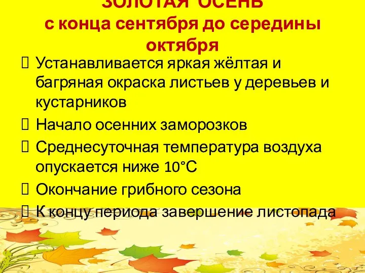 ЗОЛОТАЯ ОСЕНЬ с конца сентября до середины октября Устанавливается яркая жёлтая и