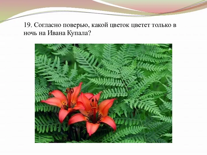 19. Согласно поверью, какой цветок цветет только в ночь на Ивана Купала?