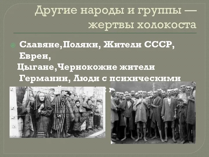 Другие народы и группы — жертвы холокоста Славяне,Поляки, Жители СССР,Евреи, Цыгане,Чернокожие жители