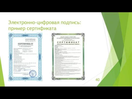 Электронно-цифровая подпись: пример сертификата