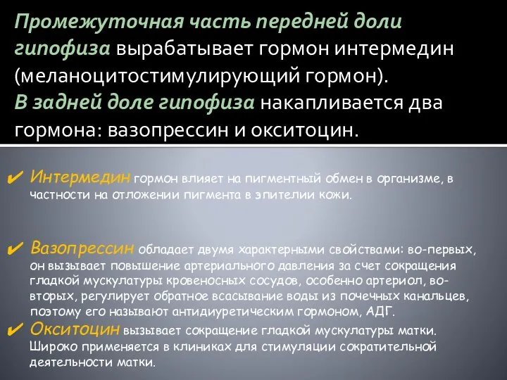 Промежуточная часть передней доли гипофиза вырабатывает гормон интермедин (меланоцитостимулирующий гормон). В задней