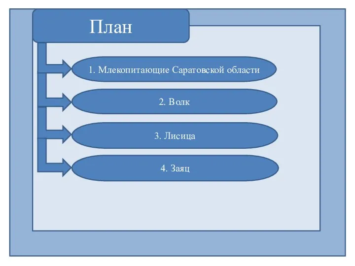 План 1. Млекопитающие Саратовской области 2. Волк 3. Лисица 4. Заяц