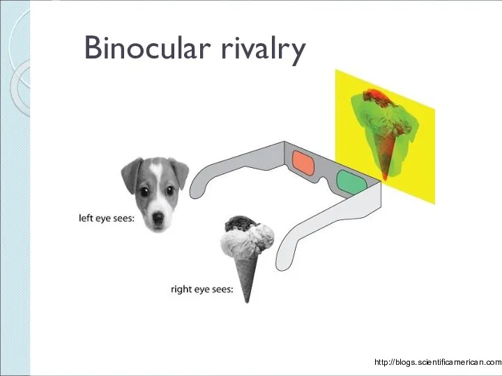 Binocular rivalry http://blogs.scientificamerican.com