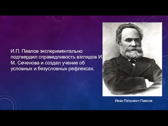 И.П. Павлов экспериментально подтвердил справедливость взглядов И.М. Сеченова и создал учение об