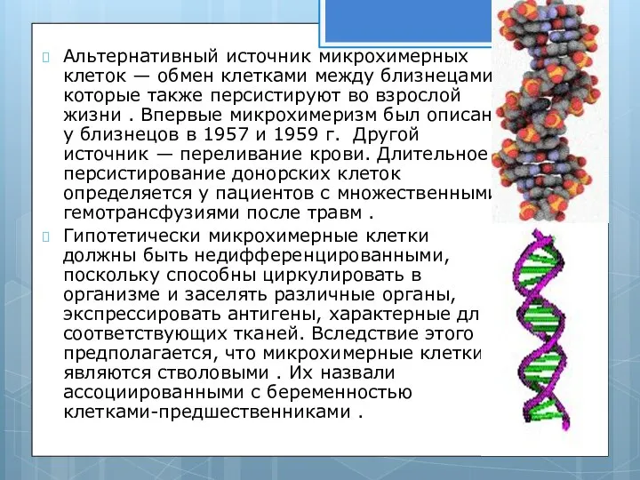 Альтернативный источник микрохимерных клеток — обмен клетками между близнецами, которые также персистируют